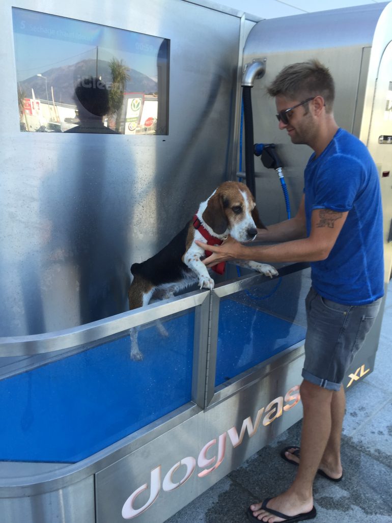 station lavage pour chien