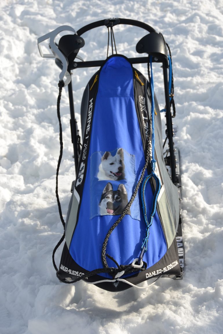 Traineau à chien bleu neige