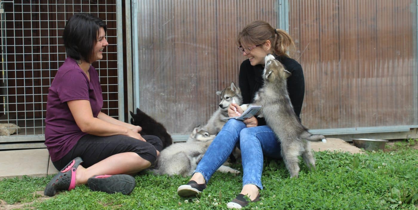 éleveuse de chien - comment devenir éleveur canin