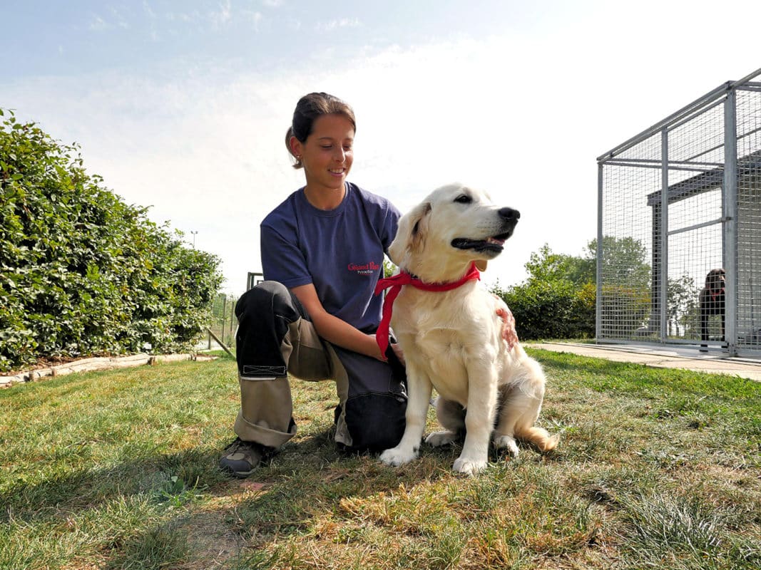 Pension canine au Puy du Fou - test et avis