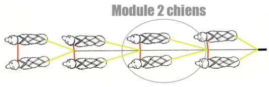 Ligne de trait module 2 chiens: ligne centrale, ligne de queue et ligne de cou – Image 3