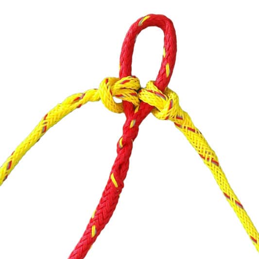 Ligne de trait module 2 chiens: ligne centrale, ligne de queue et ligne de cou – Image 2