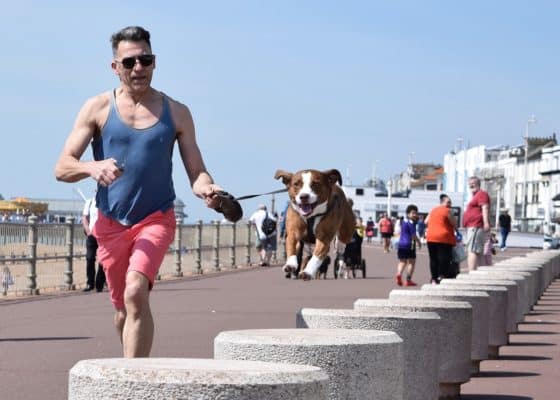 Quelle laisse pour courir avec son chien - longe elastique canicross