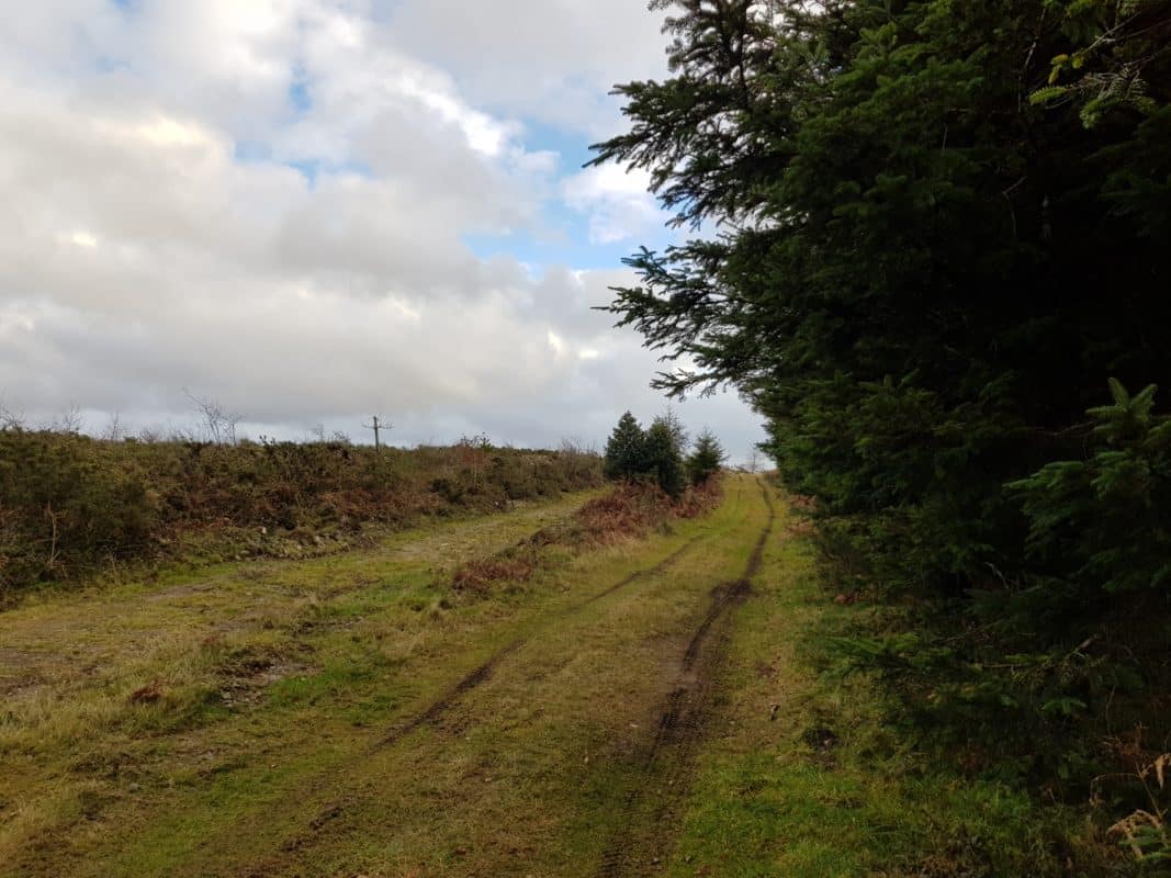 chemin entrainement attelage canin