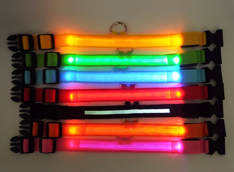 collier lumineux pour chien étanche couleur lumières
