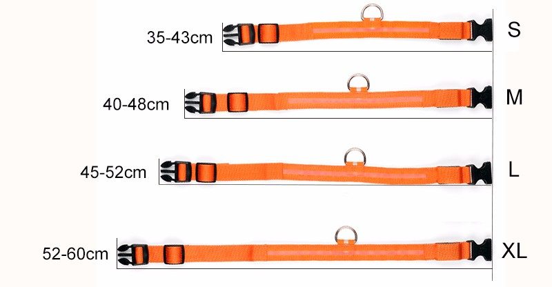 collier lumineux pour chien étanche réglable taille S a XL