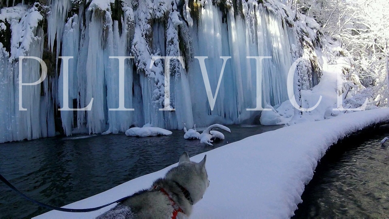 Plitvice winter husky