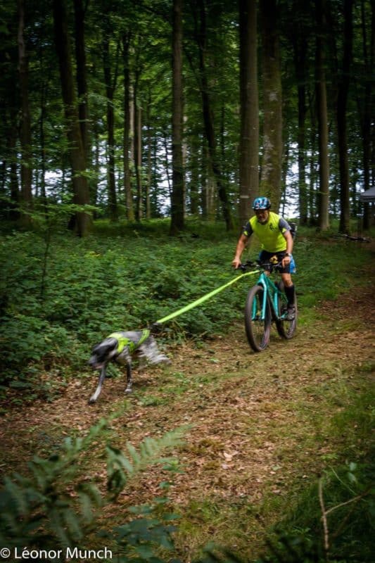 technique dentrainement en canivtt bikejoring