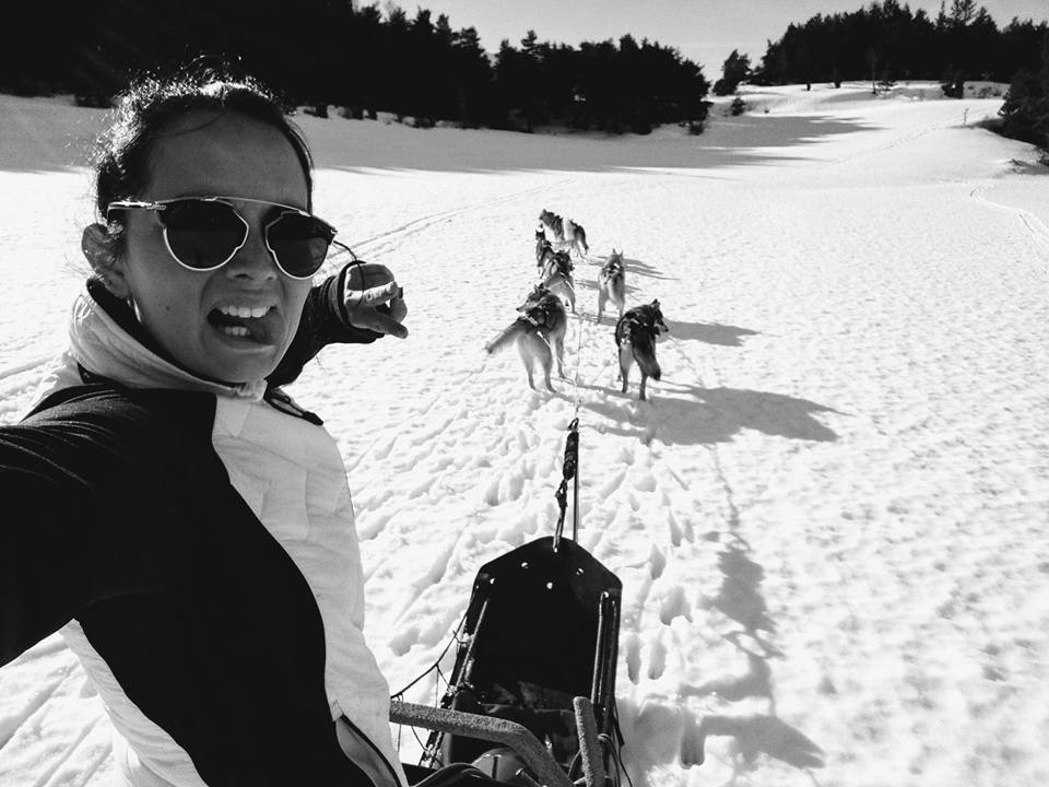 Mushing Laponie Musher Experience