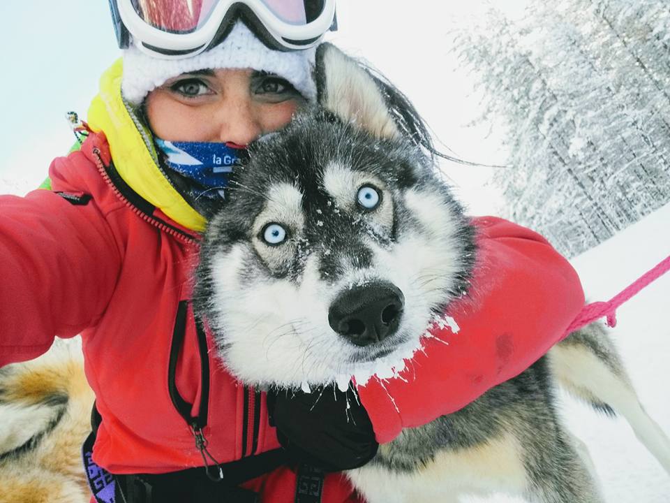 Mushing Laponie Musher Experience