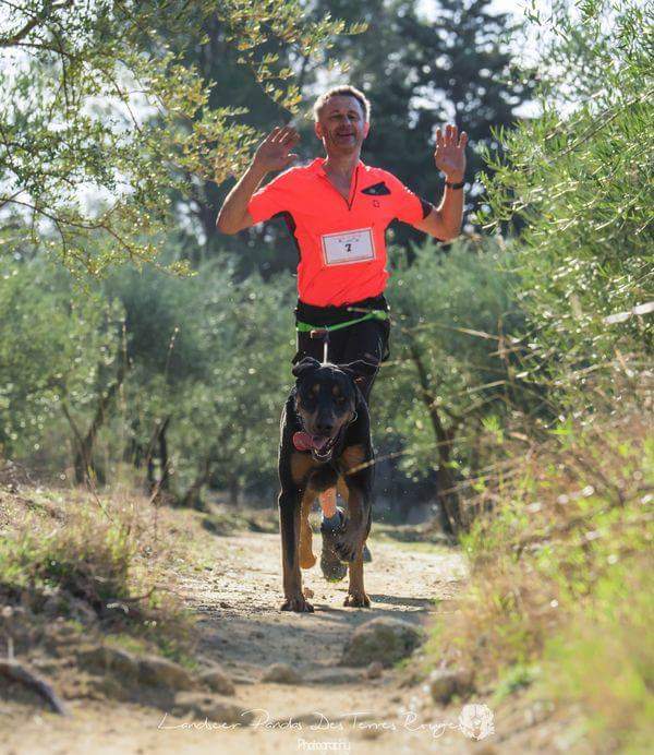 canicross des garrigues coureur runner course (1)