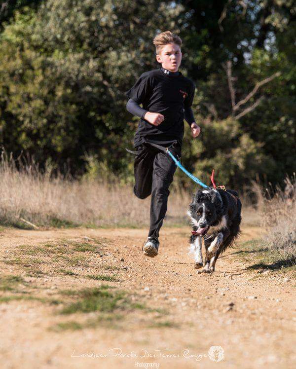 canicross des garrigues coureur runner course (4)