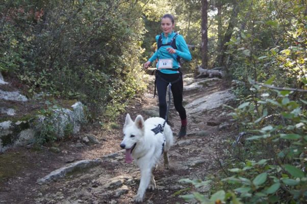 canicross des garrigues race de chien courir (1)