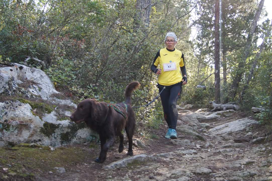 canicross des garrigues race de chien courir (2)