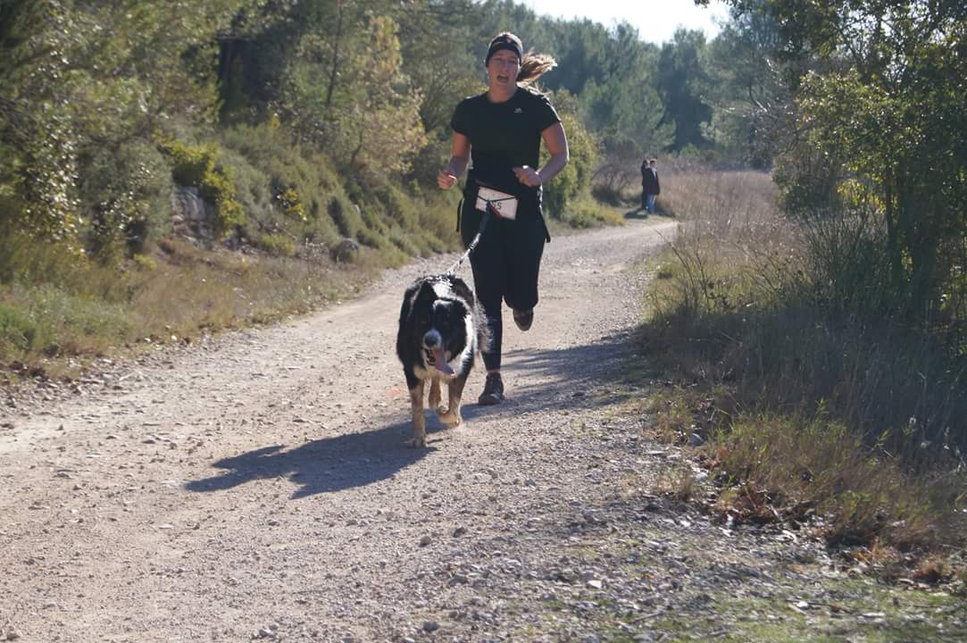 canicross des garrigues race de chien courir (4)