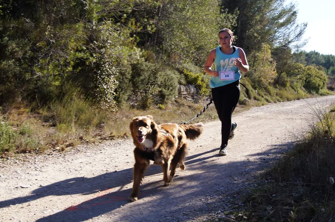 canicross des garrigues race de chien courir (5)