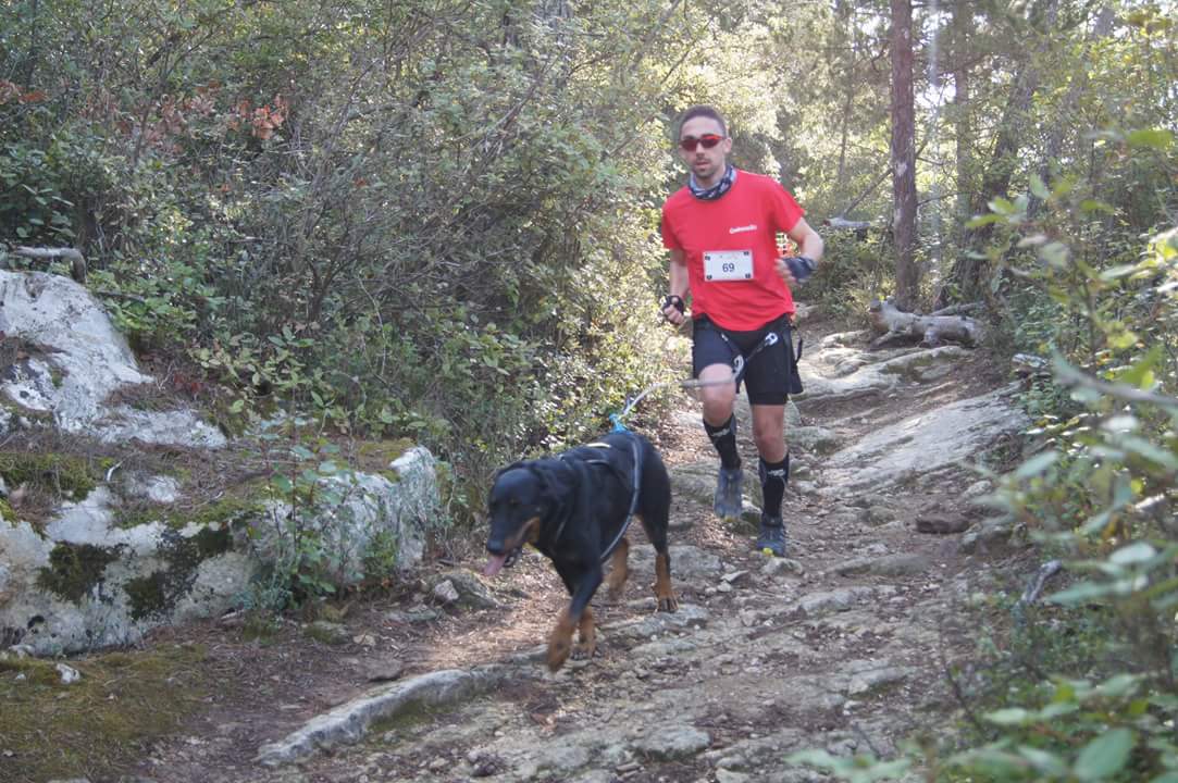 canicross des garrigues race de chien courir (7)