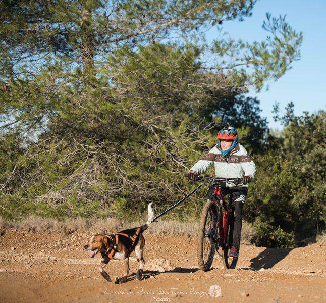 canivtt course musher experience