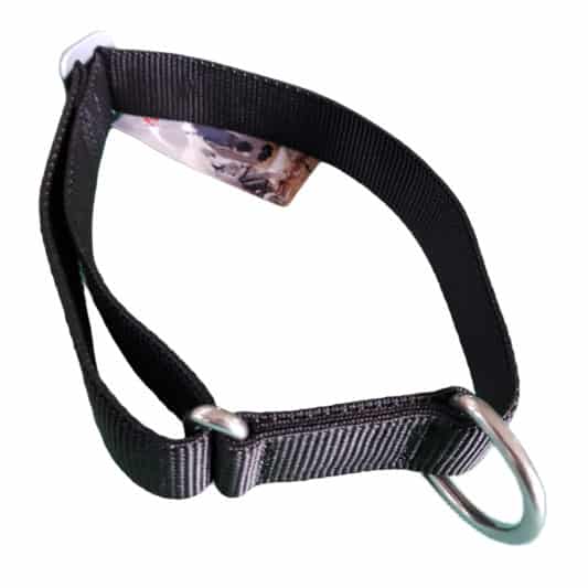 collier pour chien sport nylon reglable noir