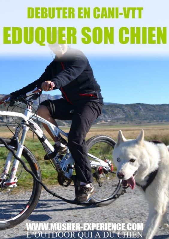 eduquer chien debuter en canivtt