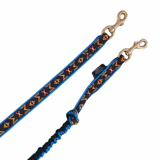 Ligne de trait CANIVTT longe amortisseur MONO-CHIEN bleu manmat mousqueton