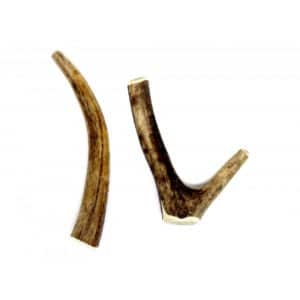 Bois de cerf pour chien à mâcher issue de mue naturelle