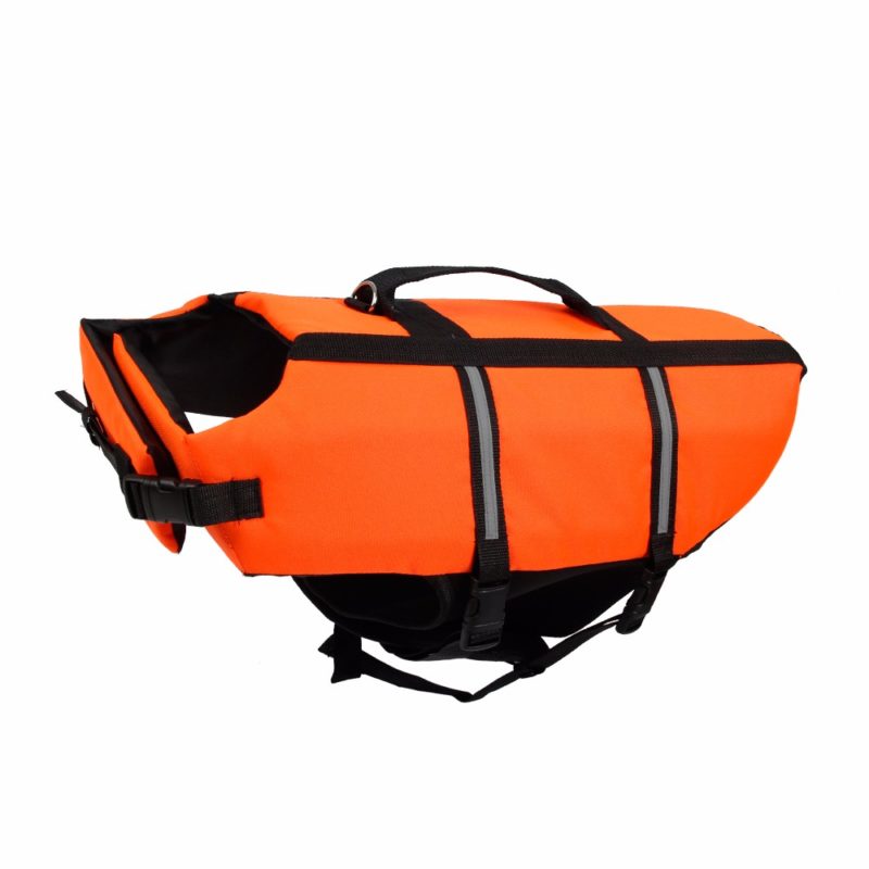 gilet de sauvetage pour chien orange profil