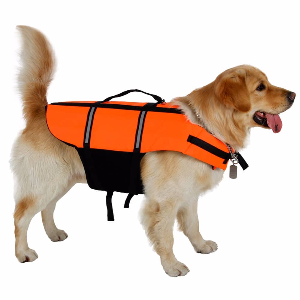 Gilet De Sauvetage Pour Chien Maxi Zoo