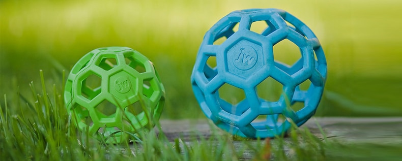 balle geometrique jw pour chien vert bleu