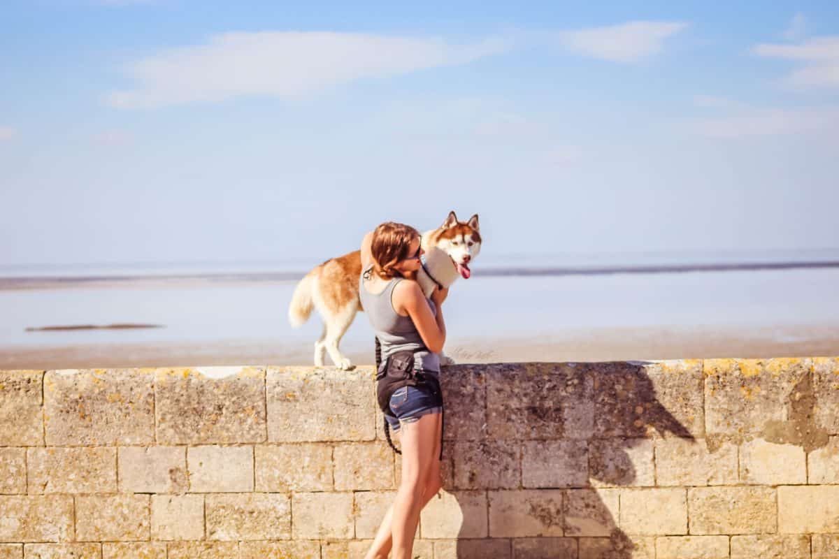 husky a la mer