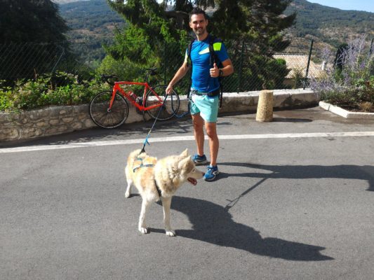 canicross harnais chien pour courir