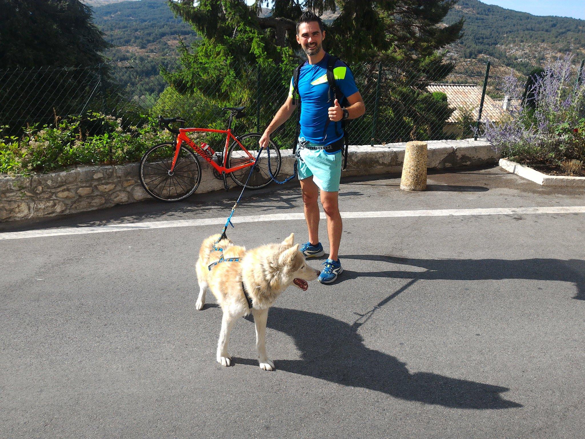 Equipement pour courir on sale avec son chien