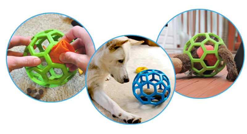 jouets pour grands chiens