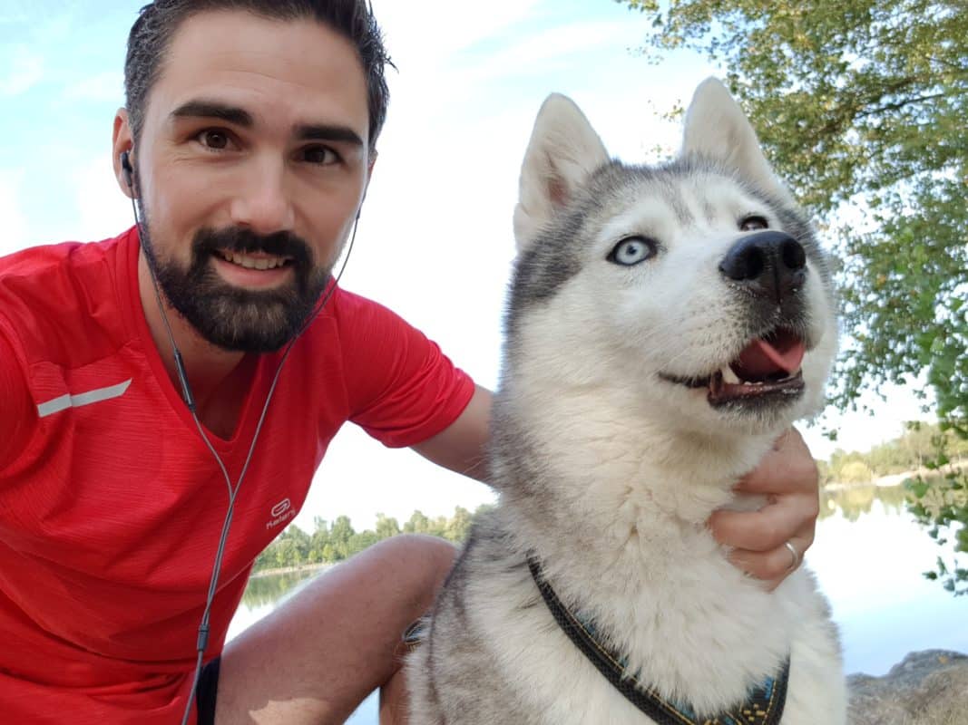 photographier son chien belle photo husky canicross