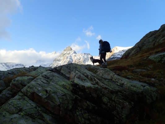 baudrier ou ceinture canicross - avis quel equipement choisir