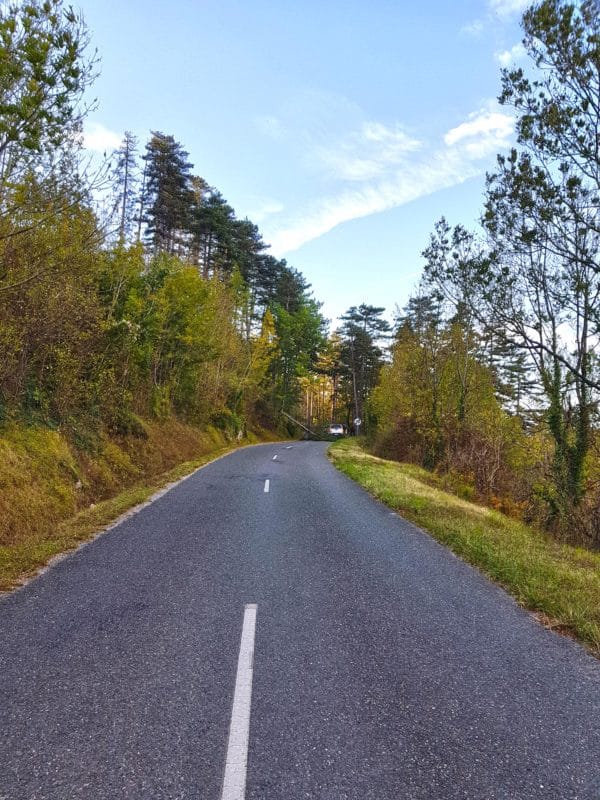 route montagne noire - arbre effondre grand vent