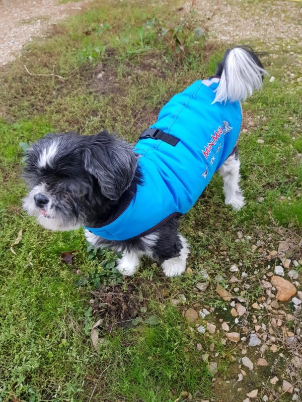 manteau d'hiver imperméable pour petit chien