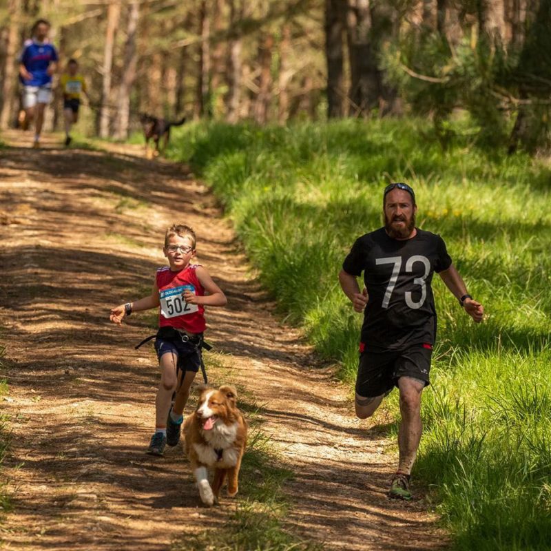 Canicross - Yohan et Lolita petite australienne