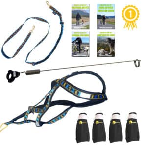 kit canivtt blue light premium