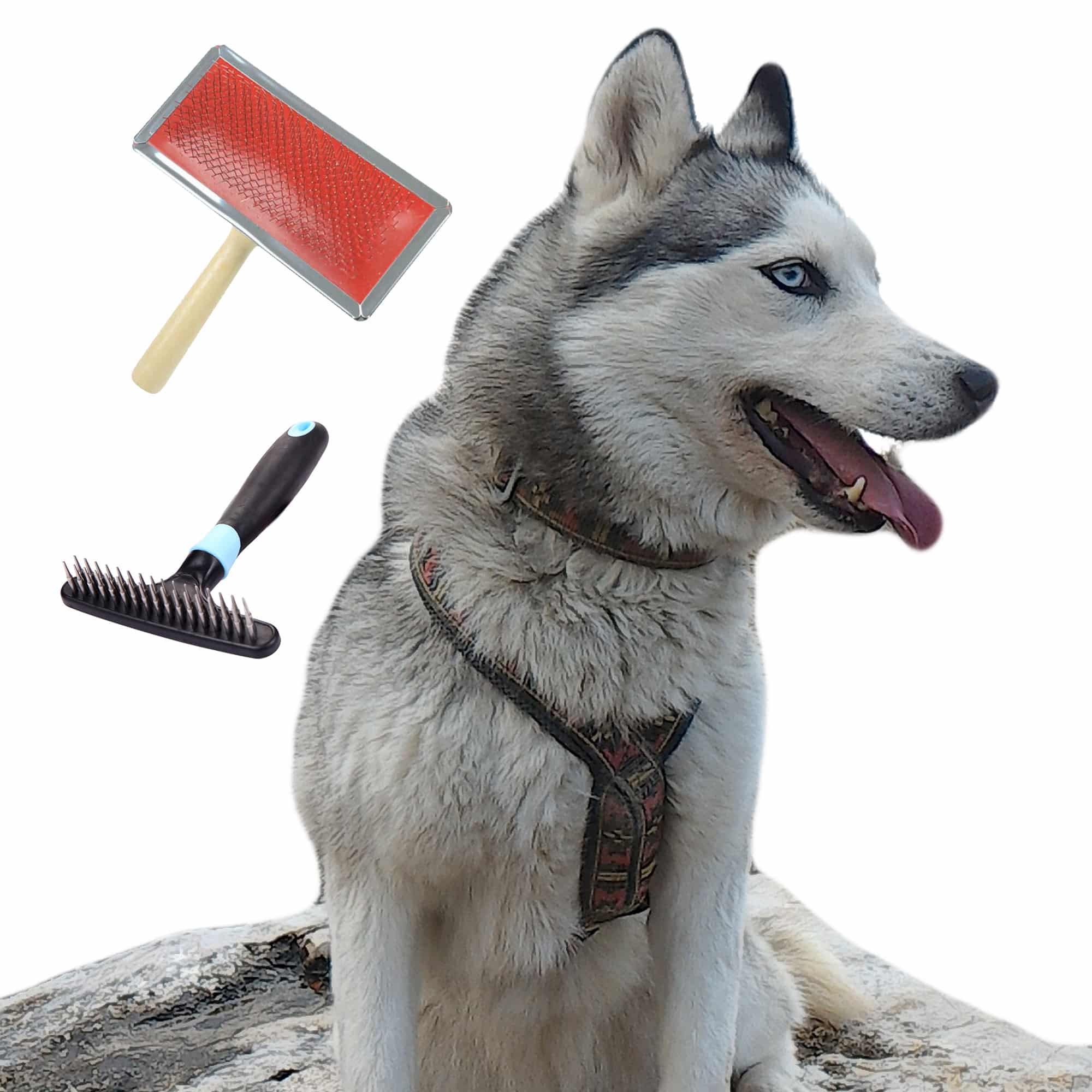 Brosse Sublim'Poils Pour Chien/chat – Pour Poils Courts, élimine 95% Des Poils Morts, Manche Ergonomique