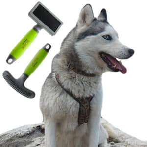 brosse-husky-siberien-meilleure-poil-toilettage