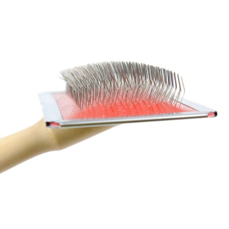 brosse pour chien picot souple