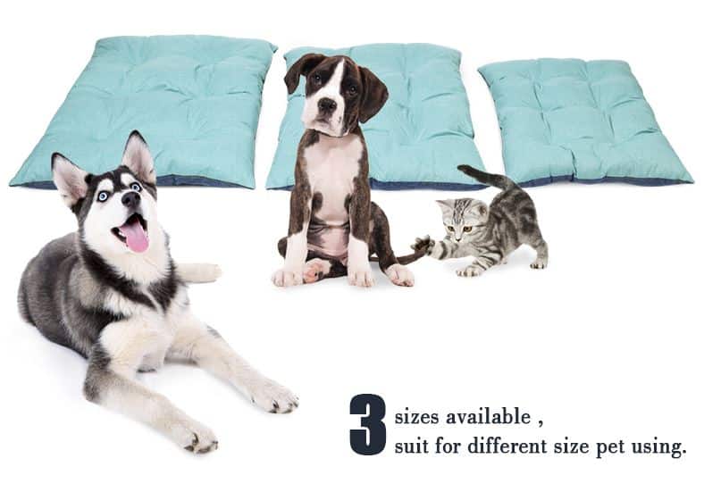 coussin pour chien tailles grand chien