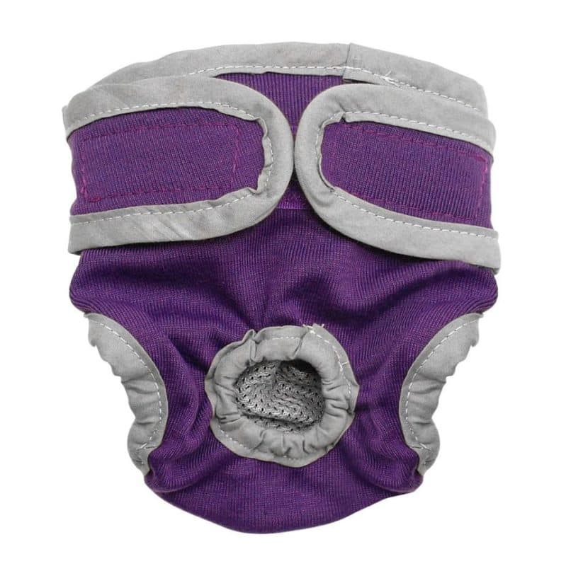 culotte de chien - chaleurs chez la chienne gris violet