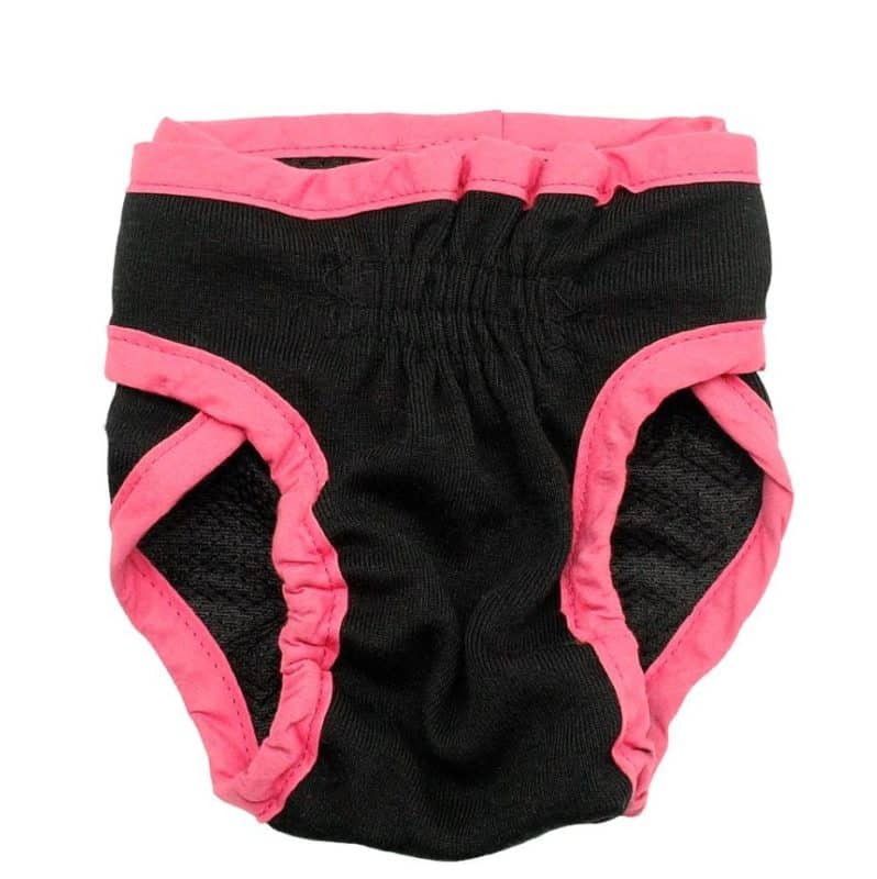 culotte de chien - chaleurs chez la chienne noir rose