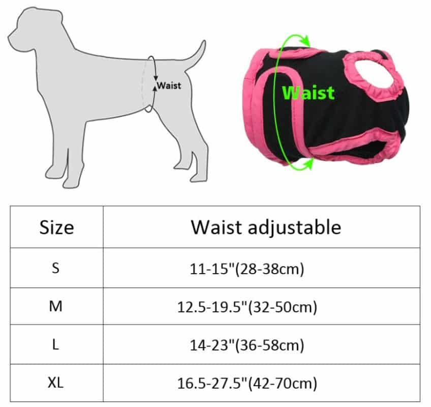 culotte de chien - chaleurs chez la chienne tailles