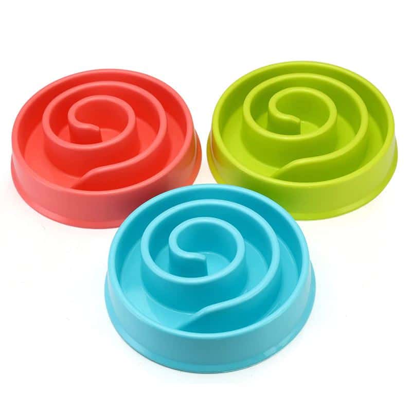 gamelle anti glouton chien mange trop vite spiral coloris