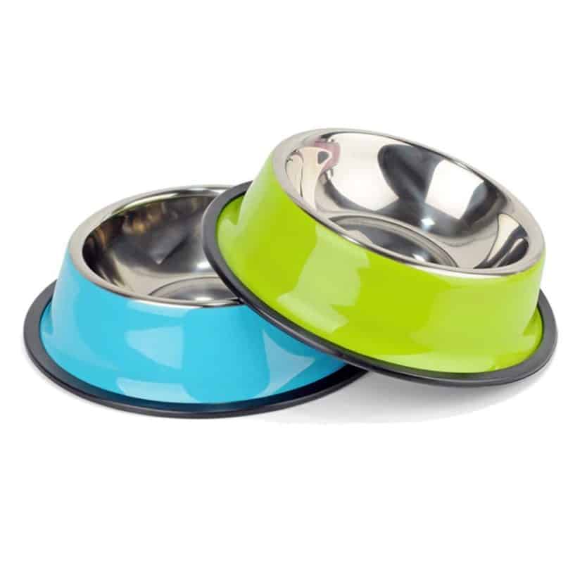 gamelle pour chien coloree en acier inoxydable vert bleu