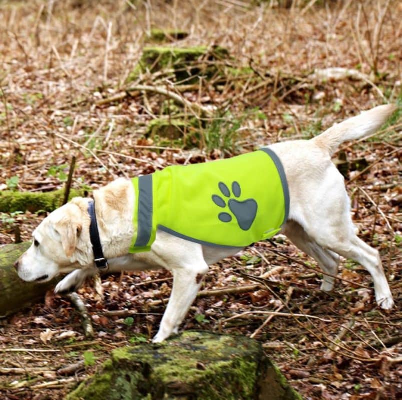 gilet jaune pour chien sécurité patte de chien 2