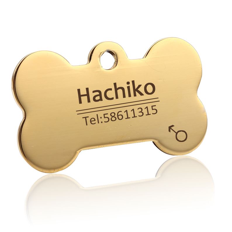 medaille chien os personnalise or gravue offert